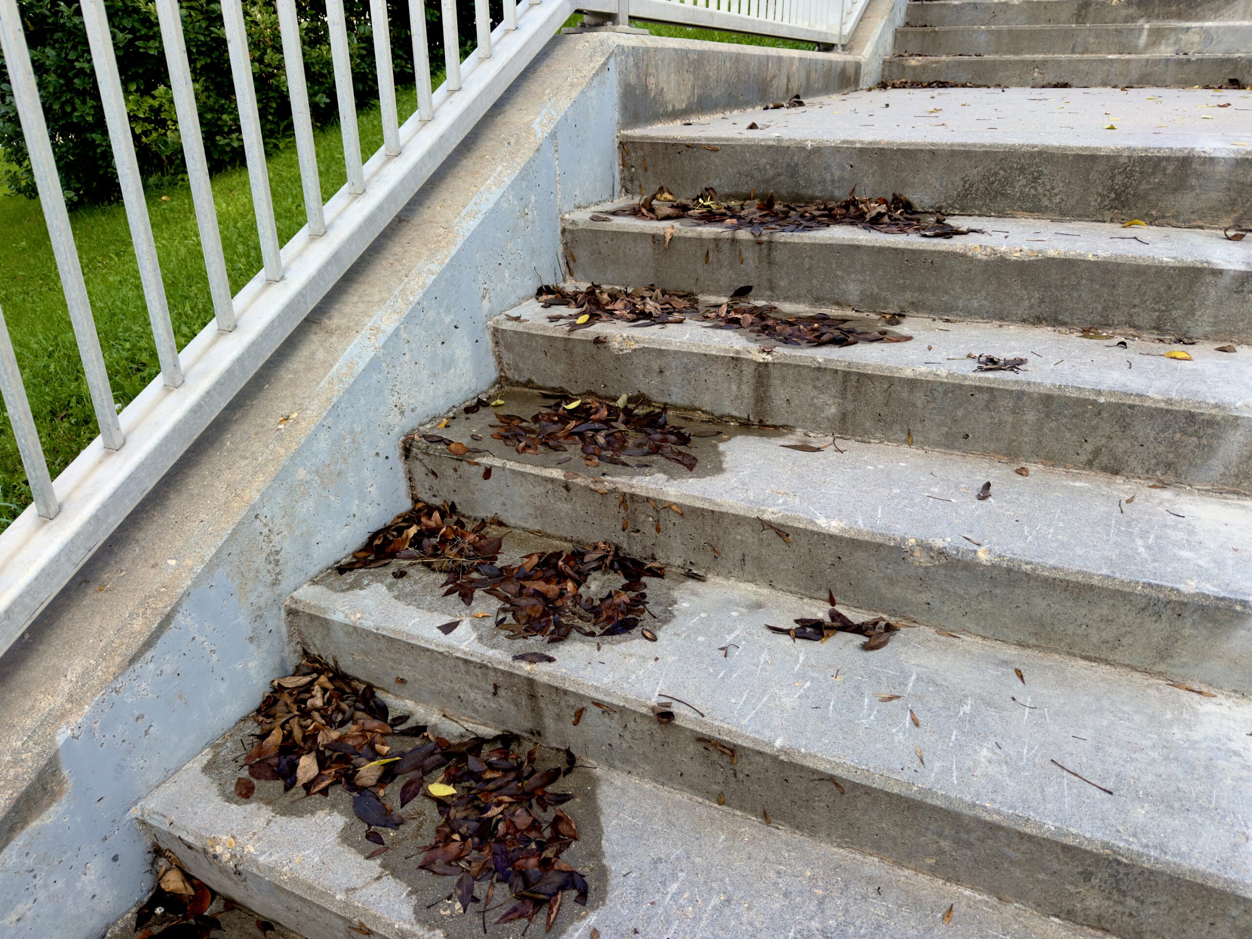 Betontreppe mit nassen Blättern und Geländer